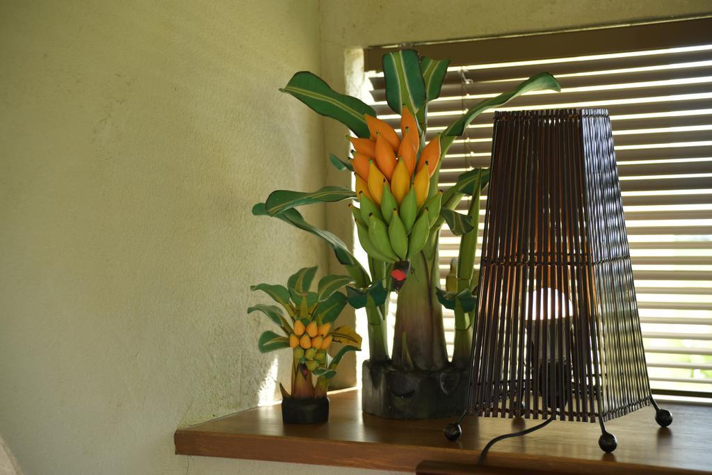 La Casita Kouri Villa Nakijin Exterior photo